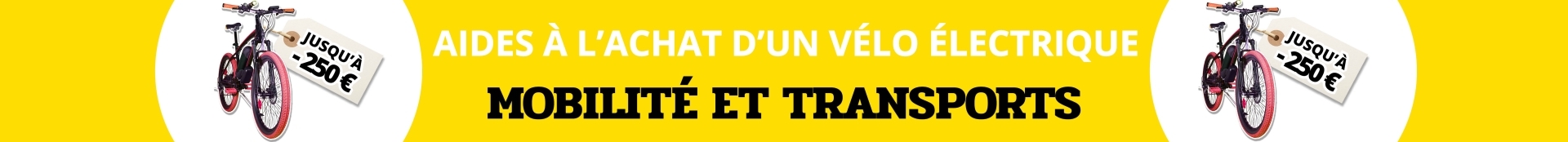 Aide à l'achat d'un vélo électrique 