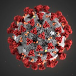 Coronavirus 