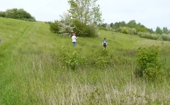 Auneau-Bleury-Saint-Symphorien