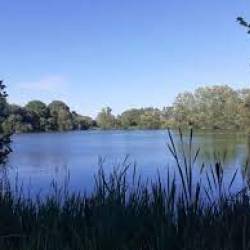 INTERDICTION PROVISOIRE DE LA PECHE ET DE LA BAIGNADE AUX ETANGS